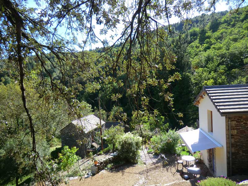 Chambres d'hôtes Mathis saint privat de vallongue 48240 N° 5