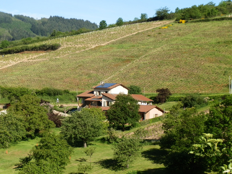 Chambres d'hôtes Sigot pruzilly 71570 N° 4