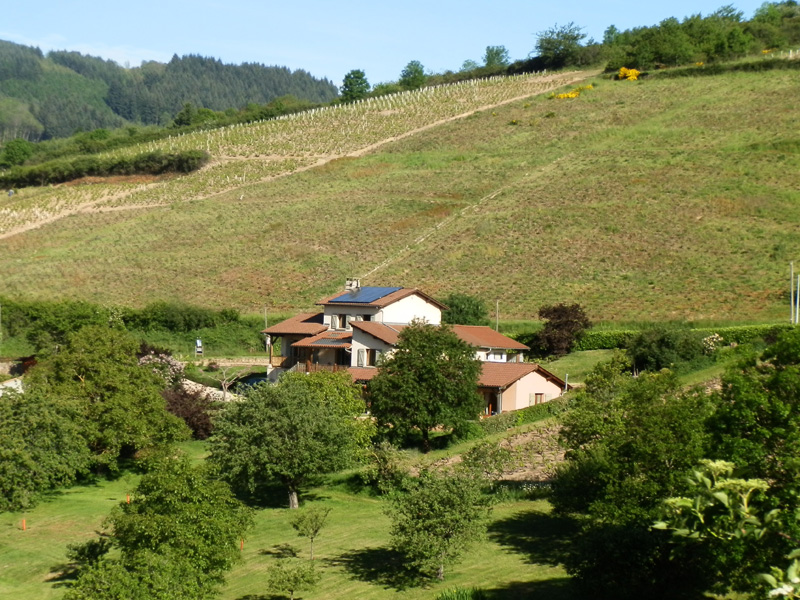 Chambres d'hôtes de charme , Le Raisin Bleu, pruzilly 71570